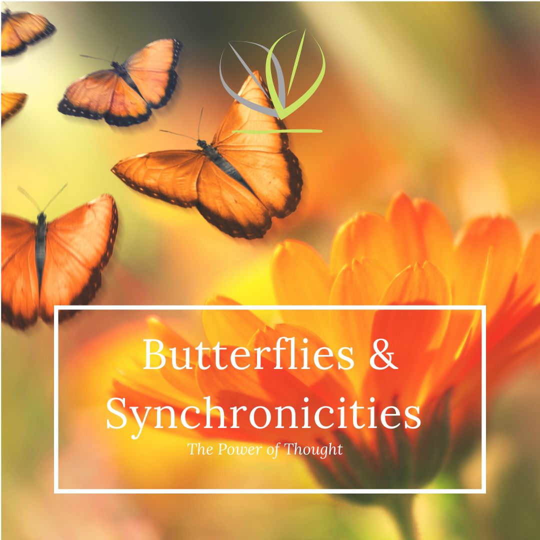 Butterflies and Synchronicities, The Power of Thought